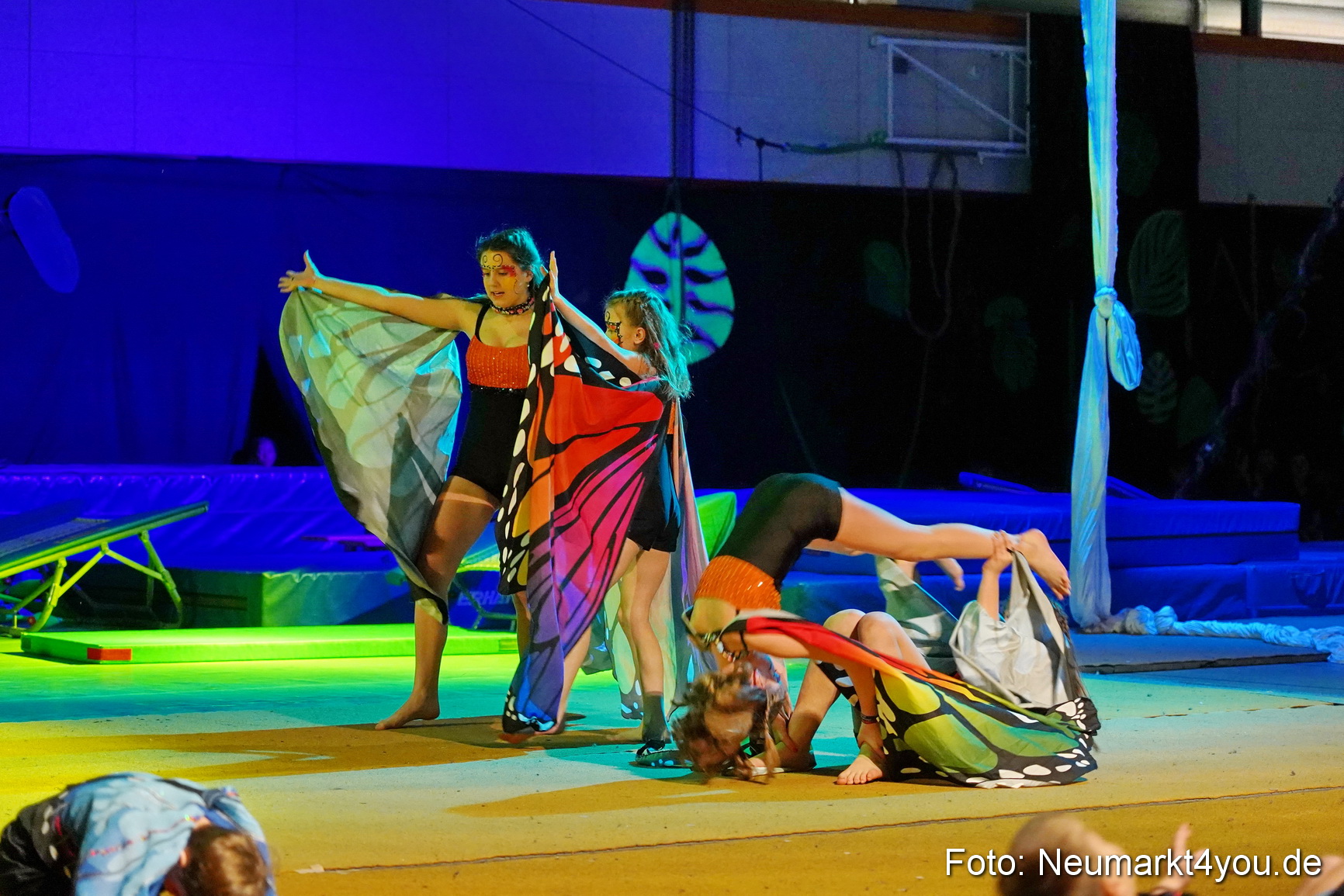 Artico Artistical Dschungelbuch 2020 0041